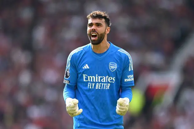 Arsenal goalkeeper David Raya