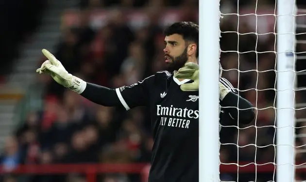 Arsenal goalkeeper David Raya