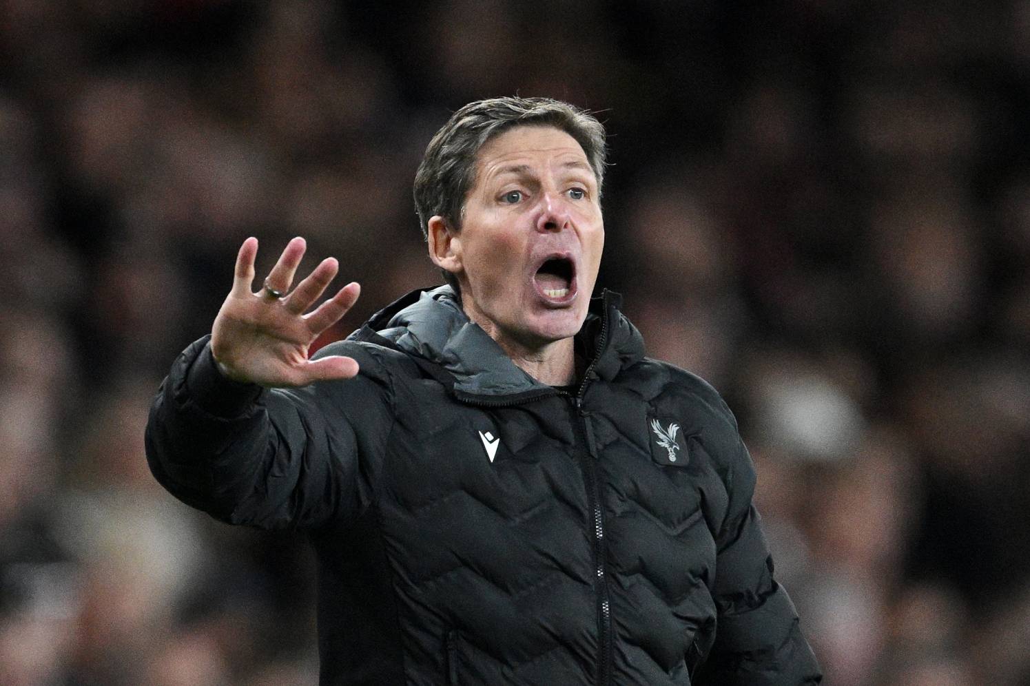 Crystal Palace manager Oliver Glasner