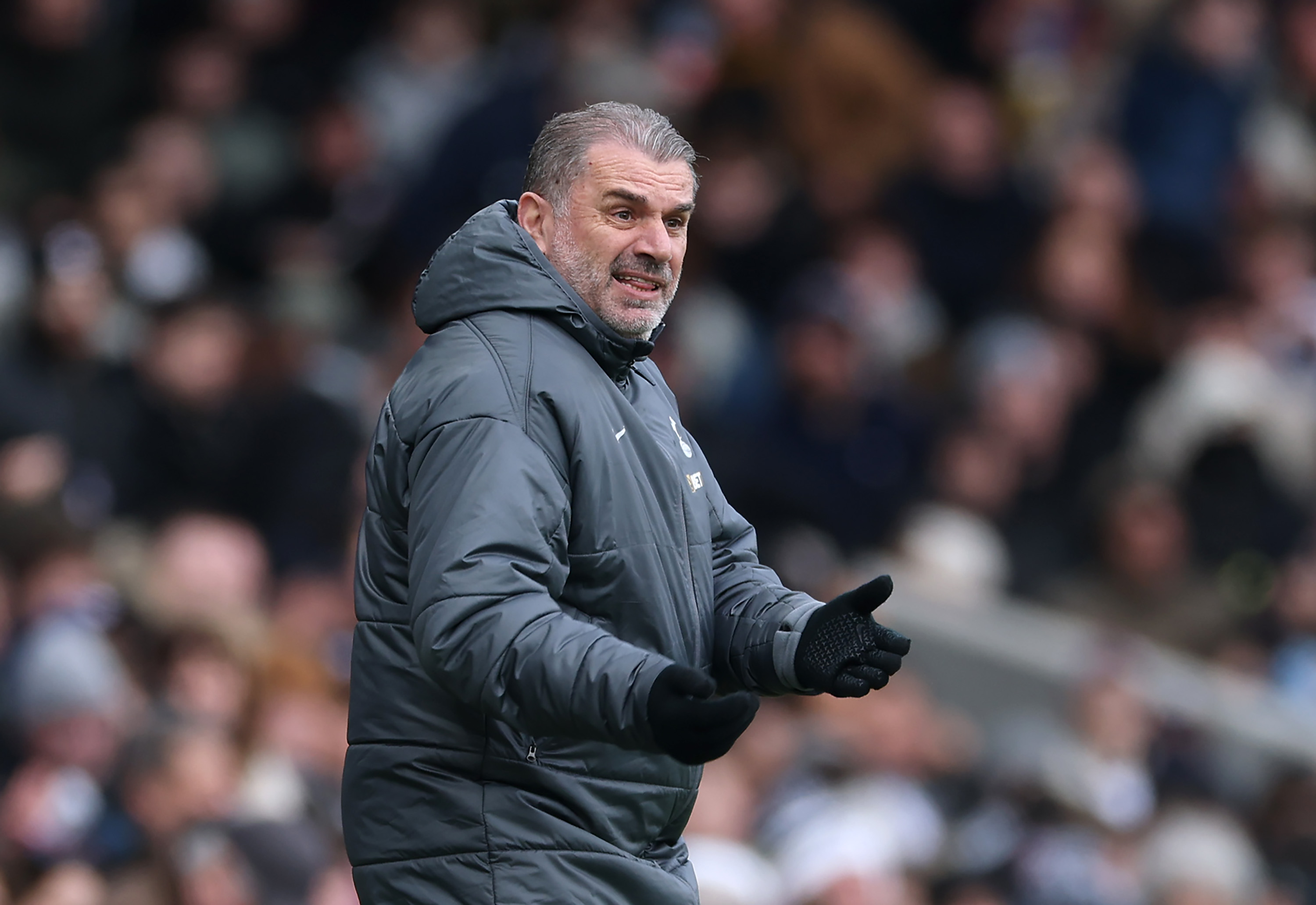 Spurs boss Ange Postecoglou