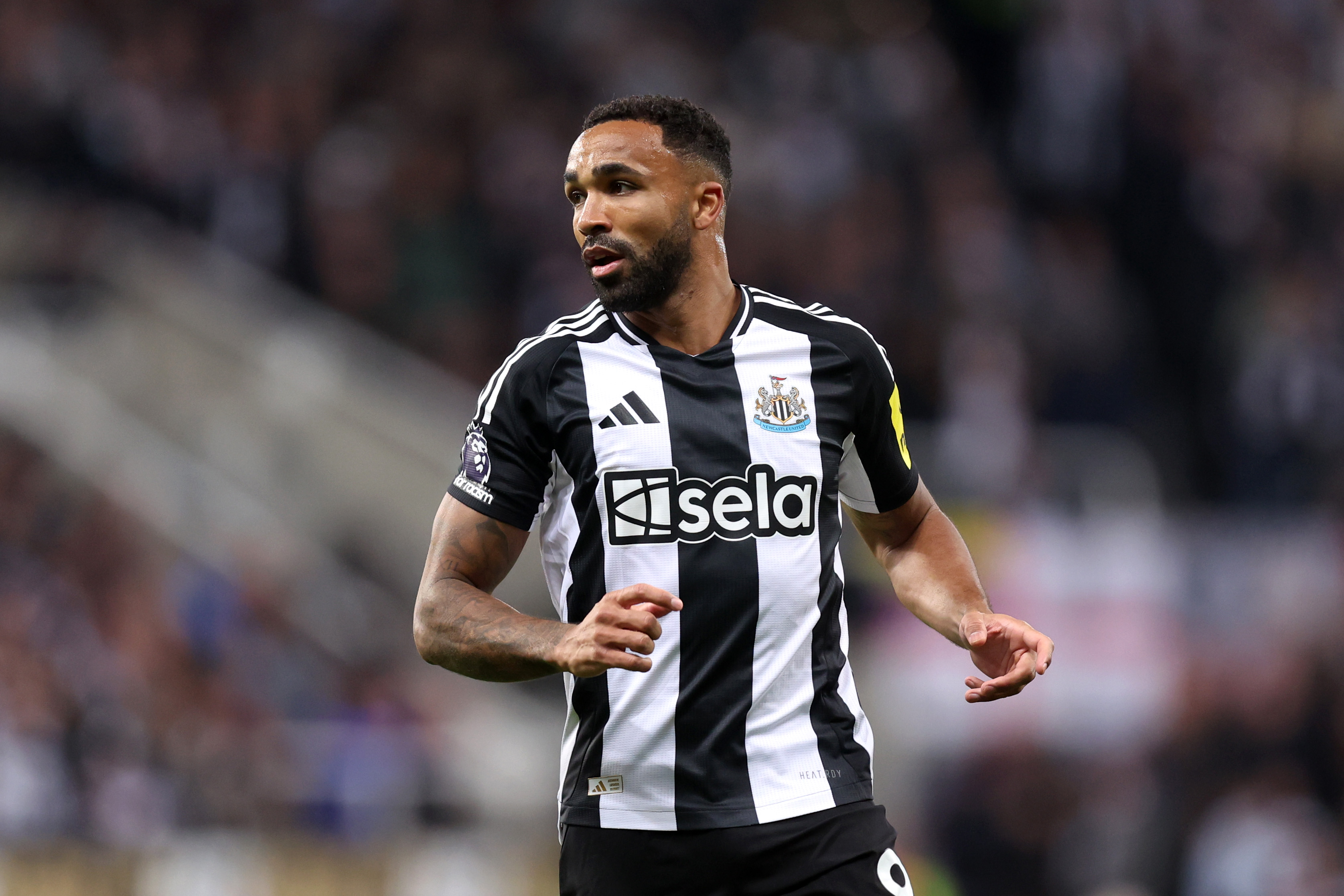 Newcastle striker Callum Wilson