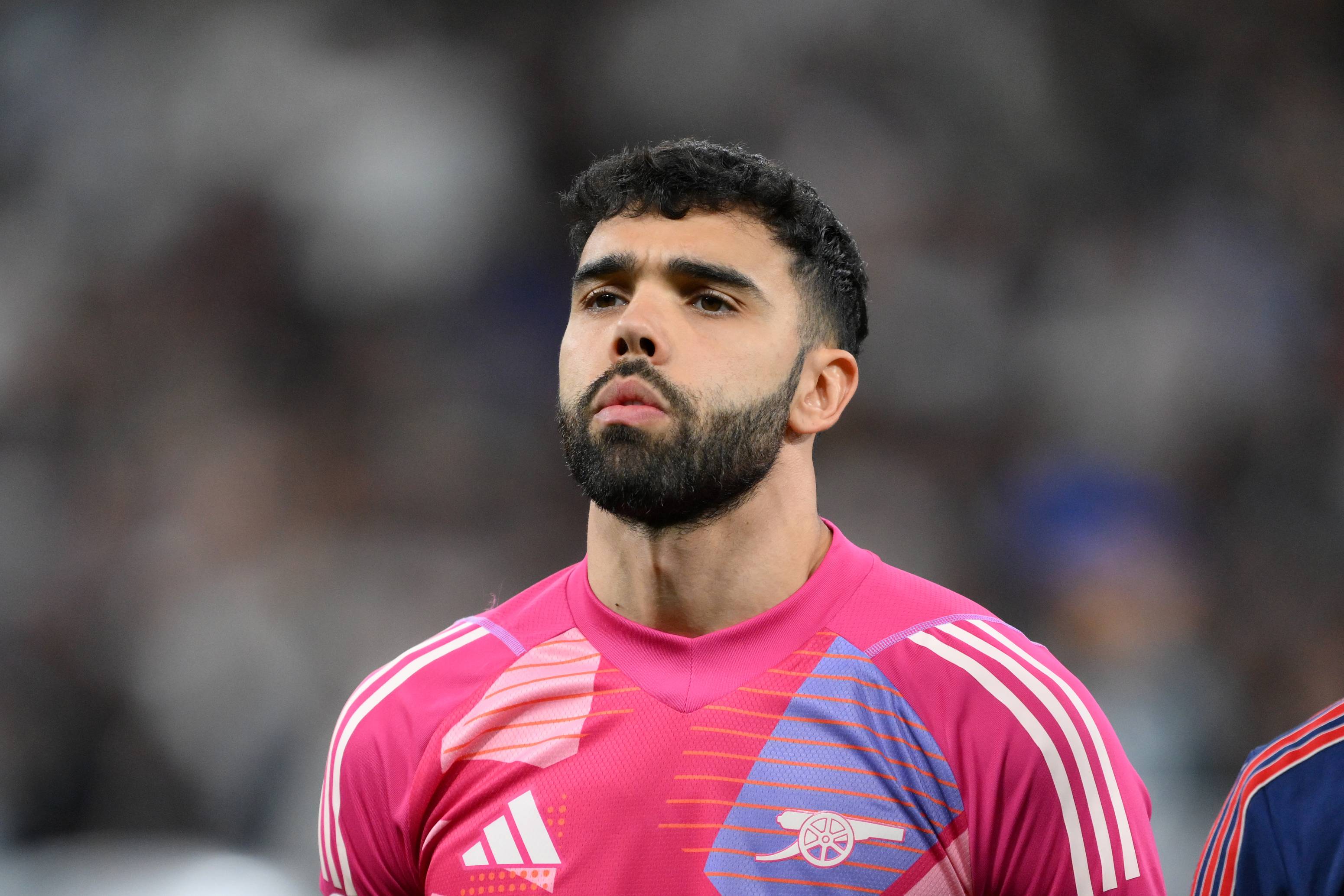 David Raya