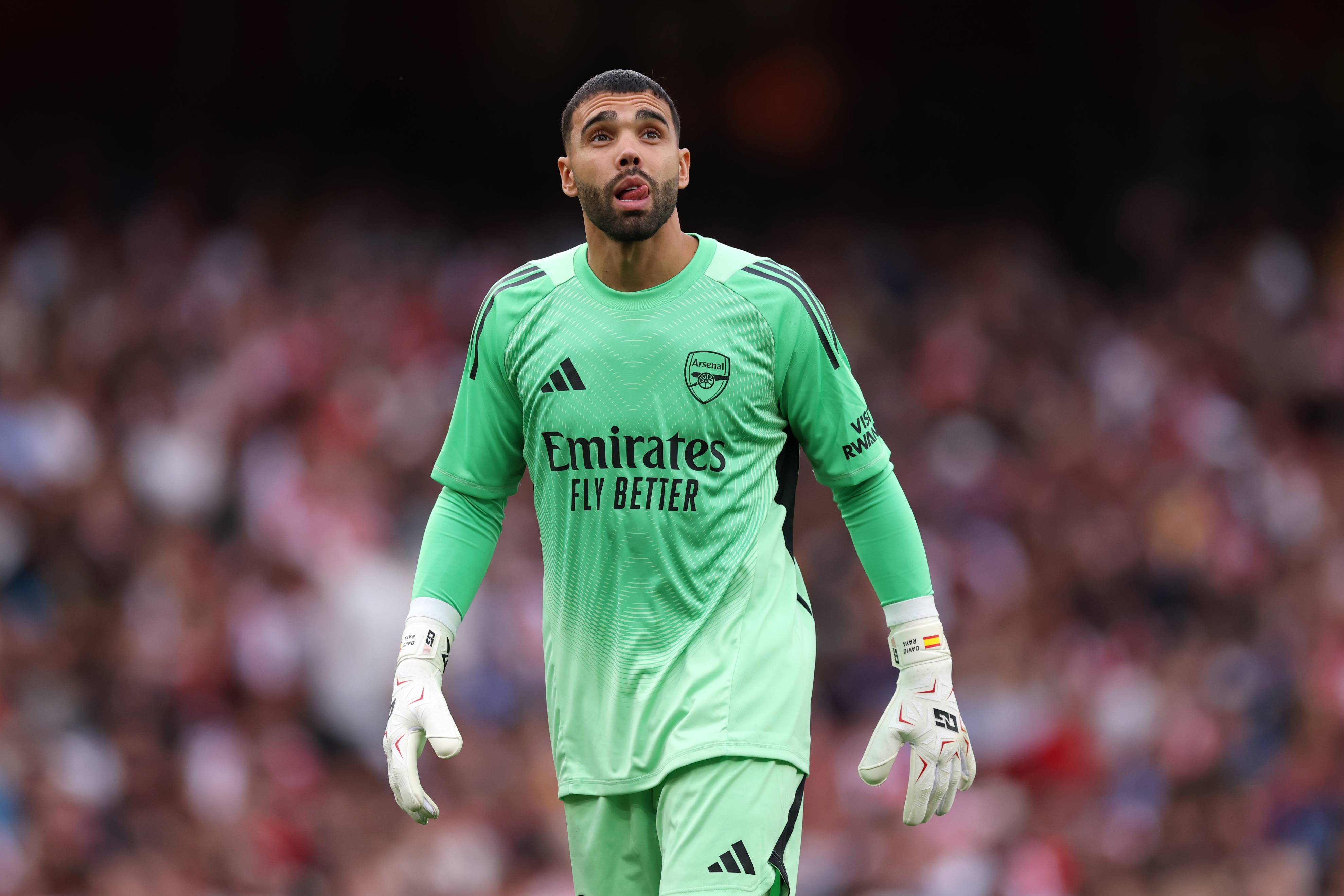 Arsenal goalkeeper David Raya