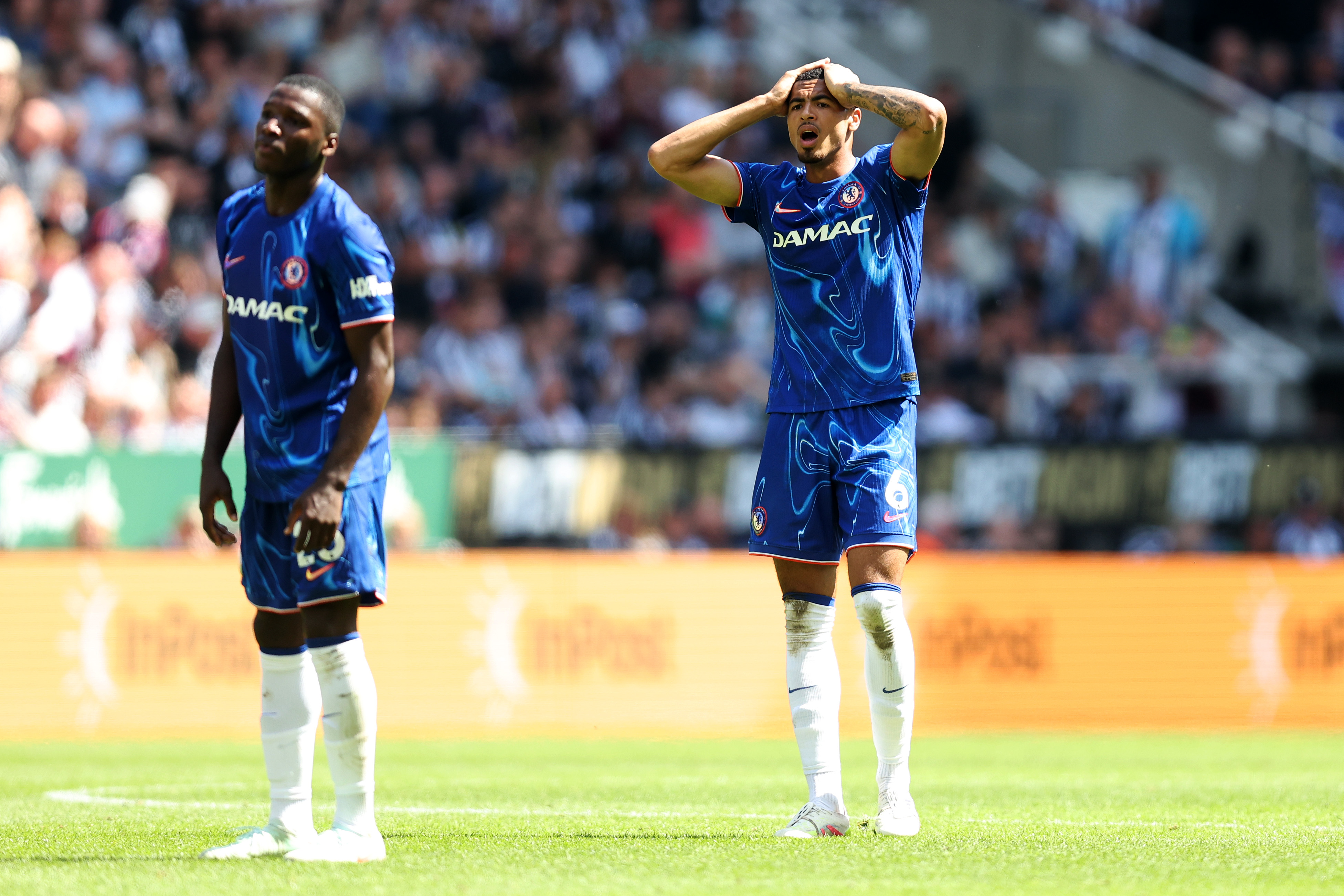 Levi Colwill (right)