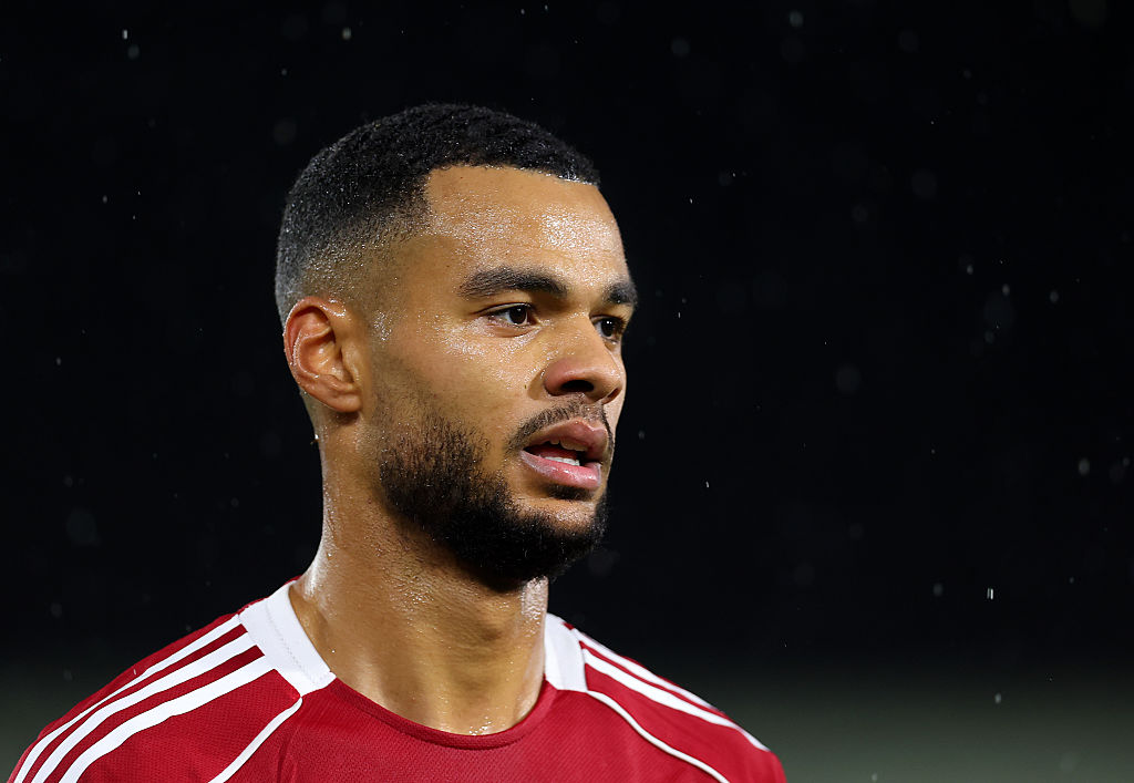 Liverpool forward Cody Gakpo