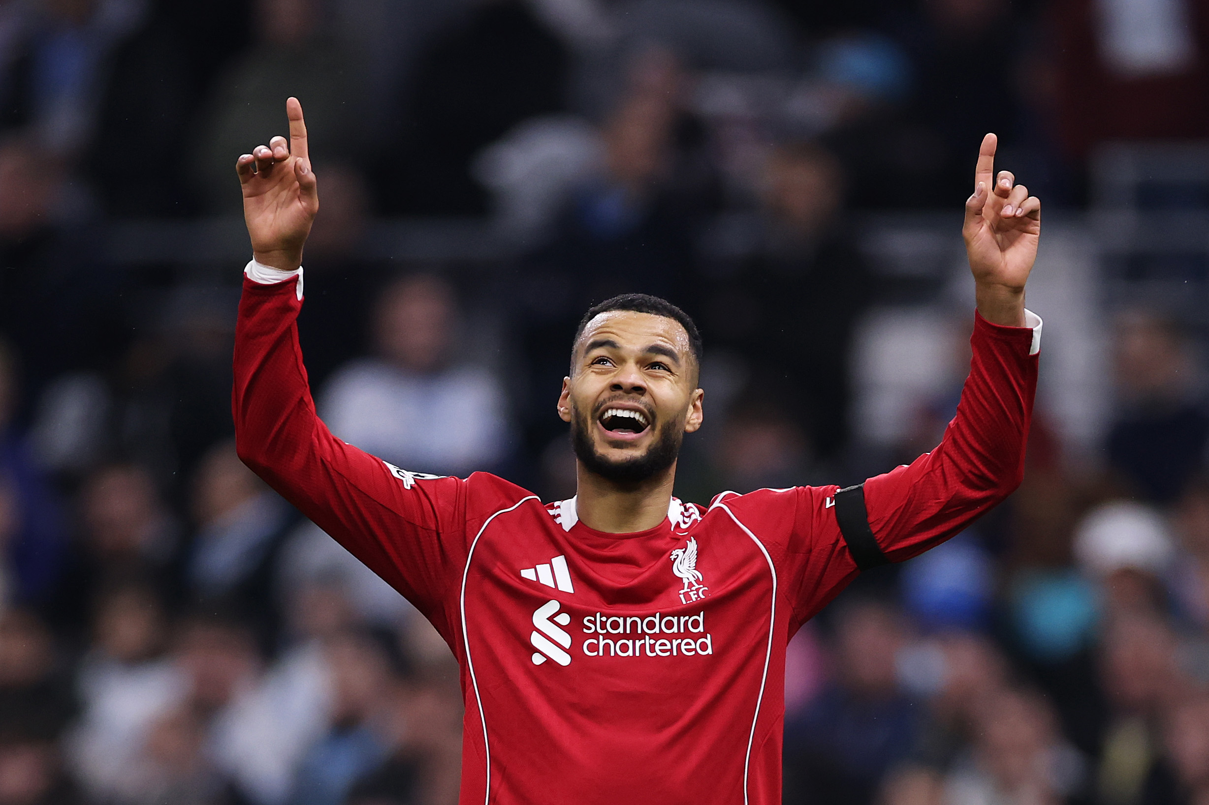Cody Gakpo celebrates