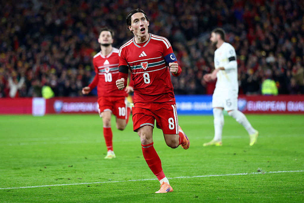 Harry Wilson celebrates for Wales