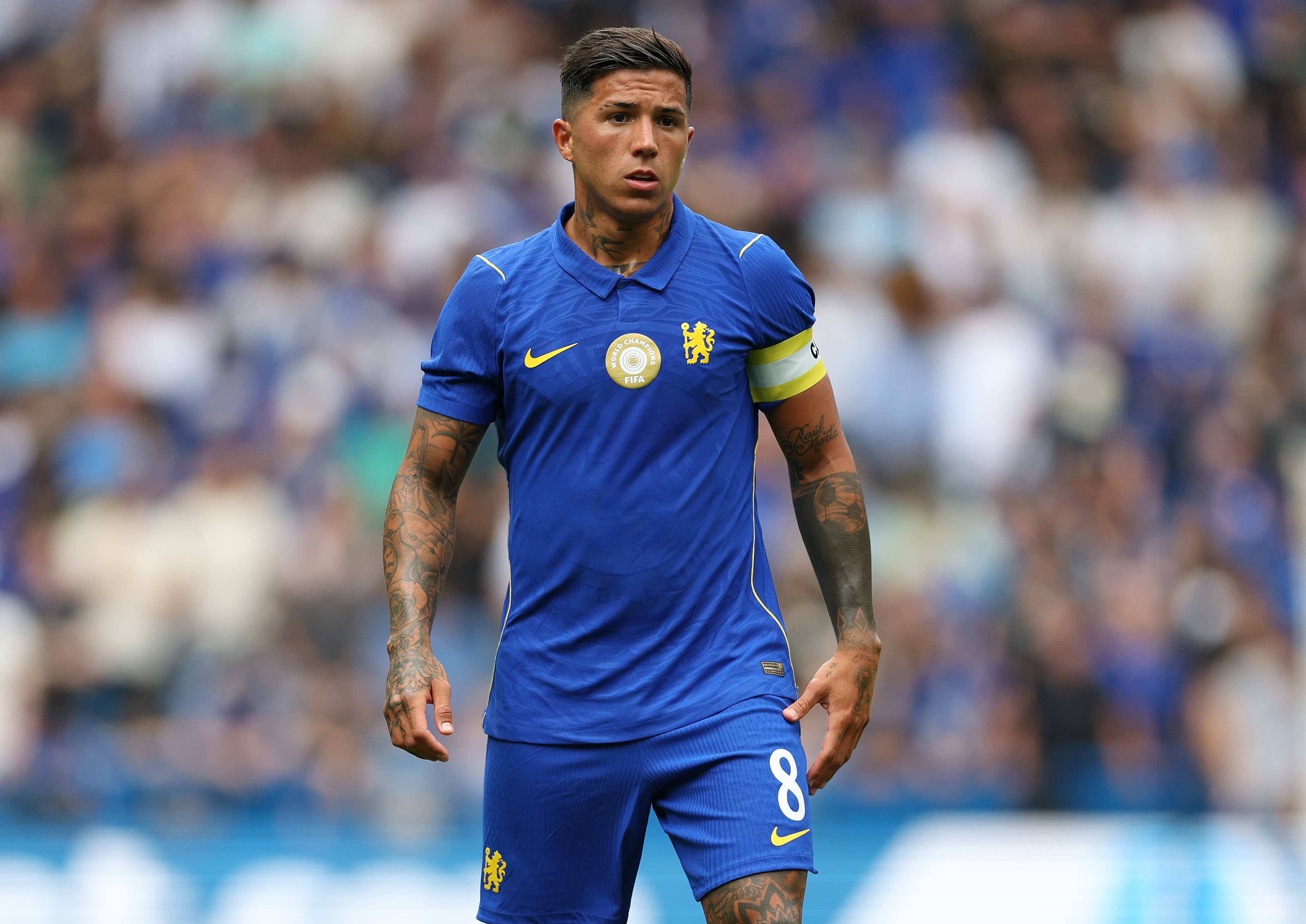 Enzo Fernandez