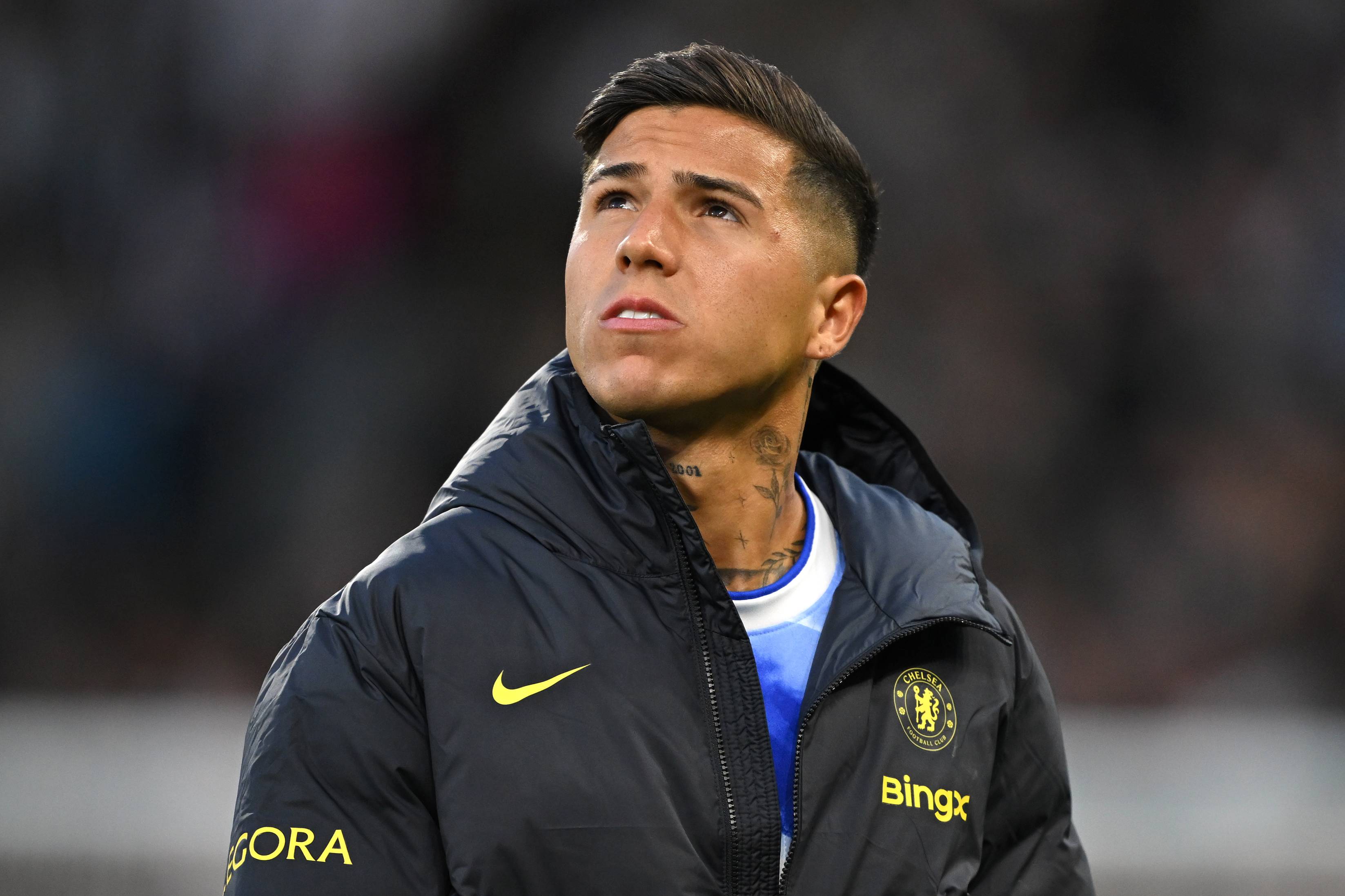 Enzo Fernandez