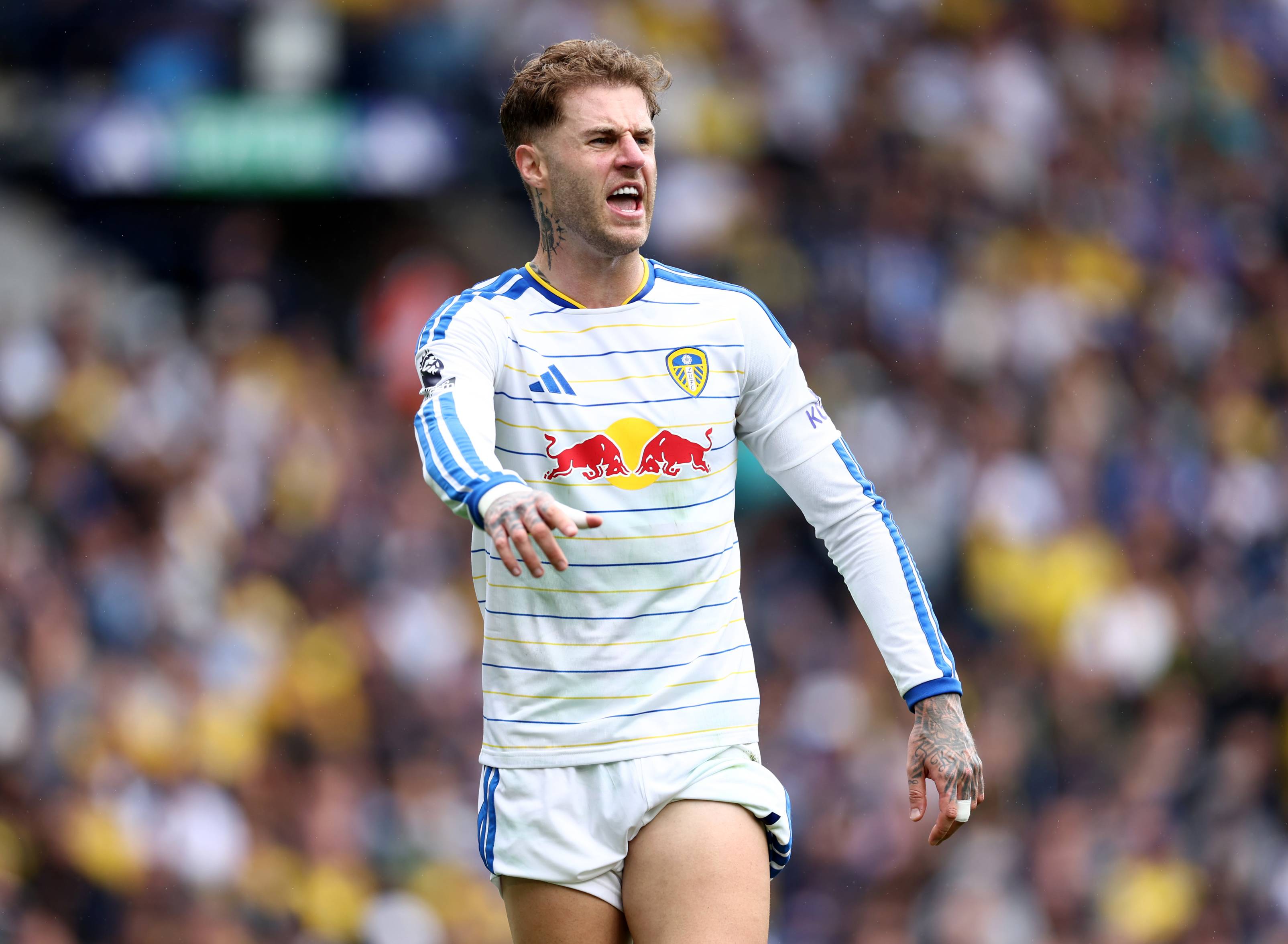Joe Rodon