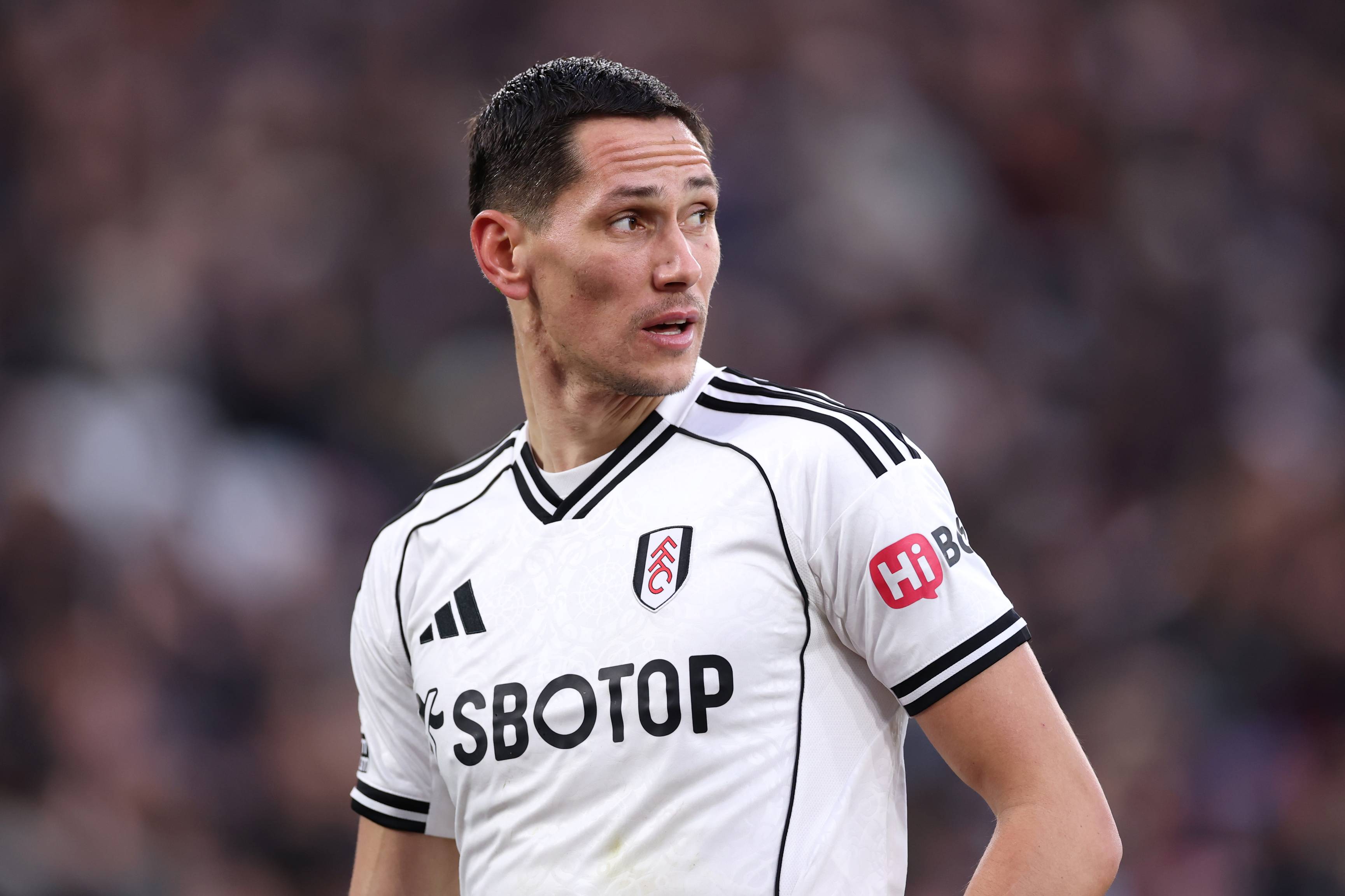 Sasa Lukic has joined Ipswich