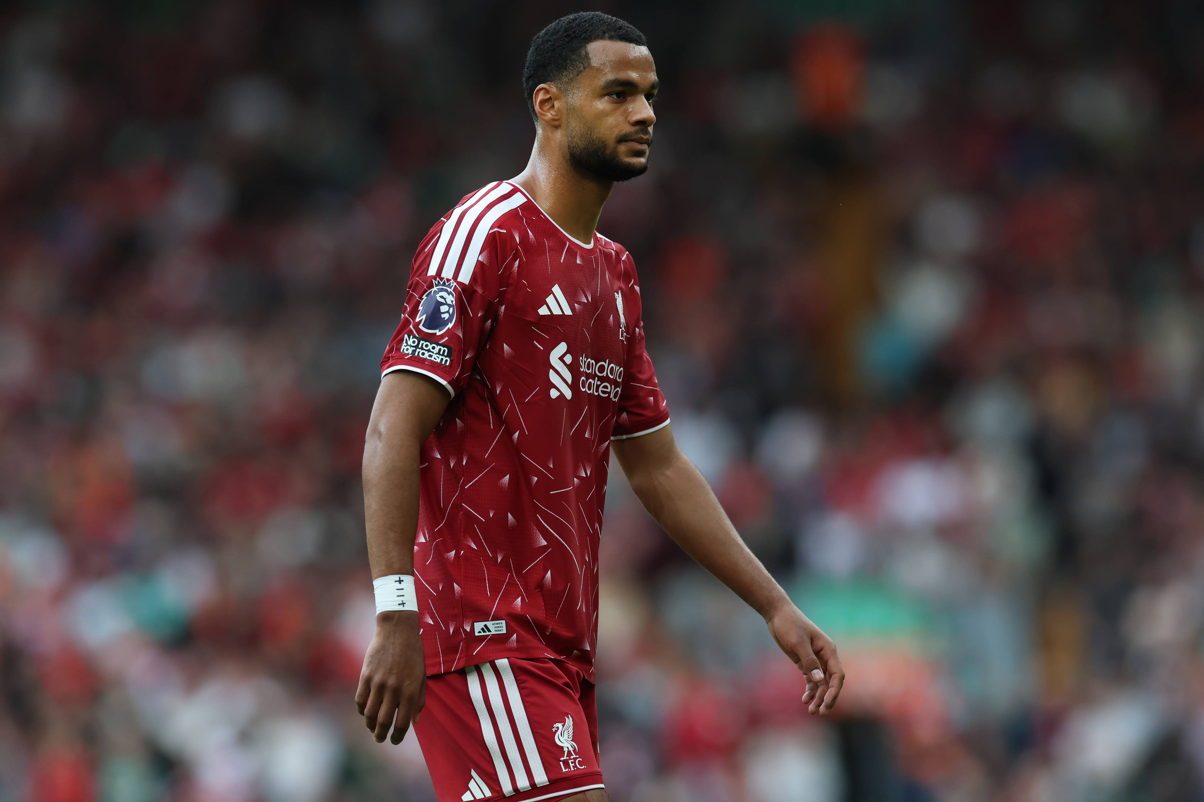 Liverpool's Cody Gakpo